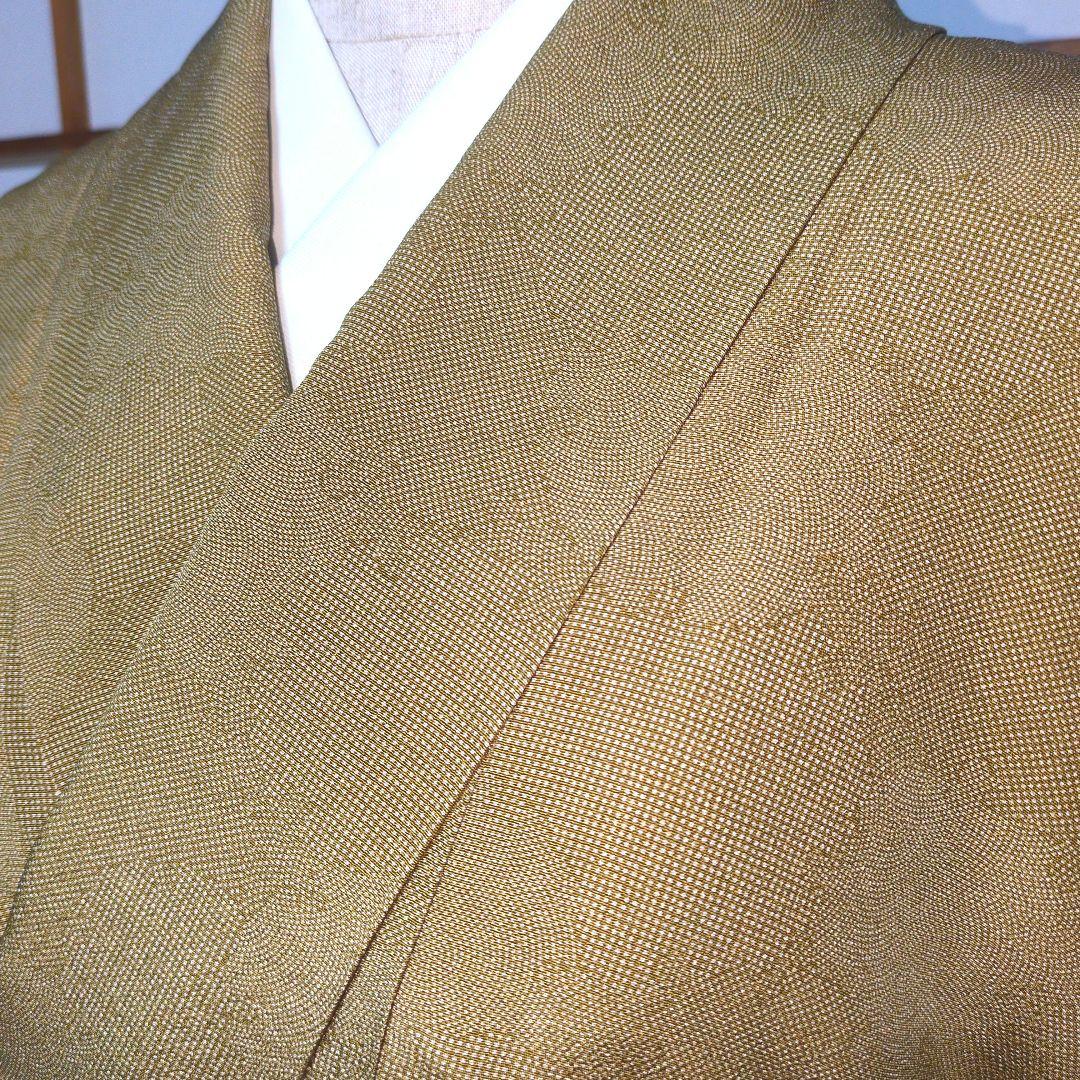 美品 江戸小紋 三役寄せ柄訪問着 丈161.5 裄67 ガード加工