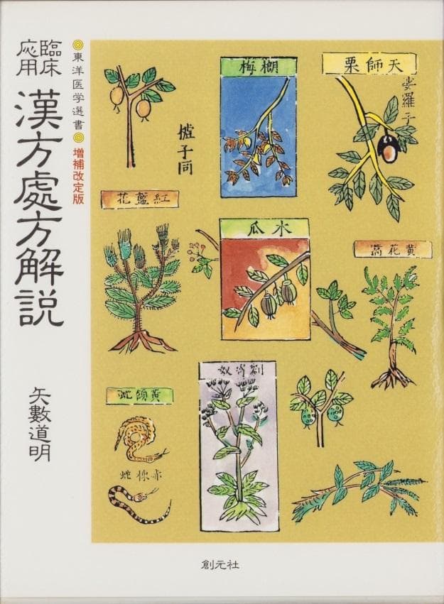 臨床応用 漢方処方解説:増補改訂版 (東洋医学選書)