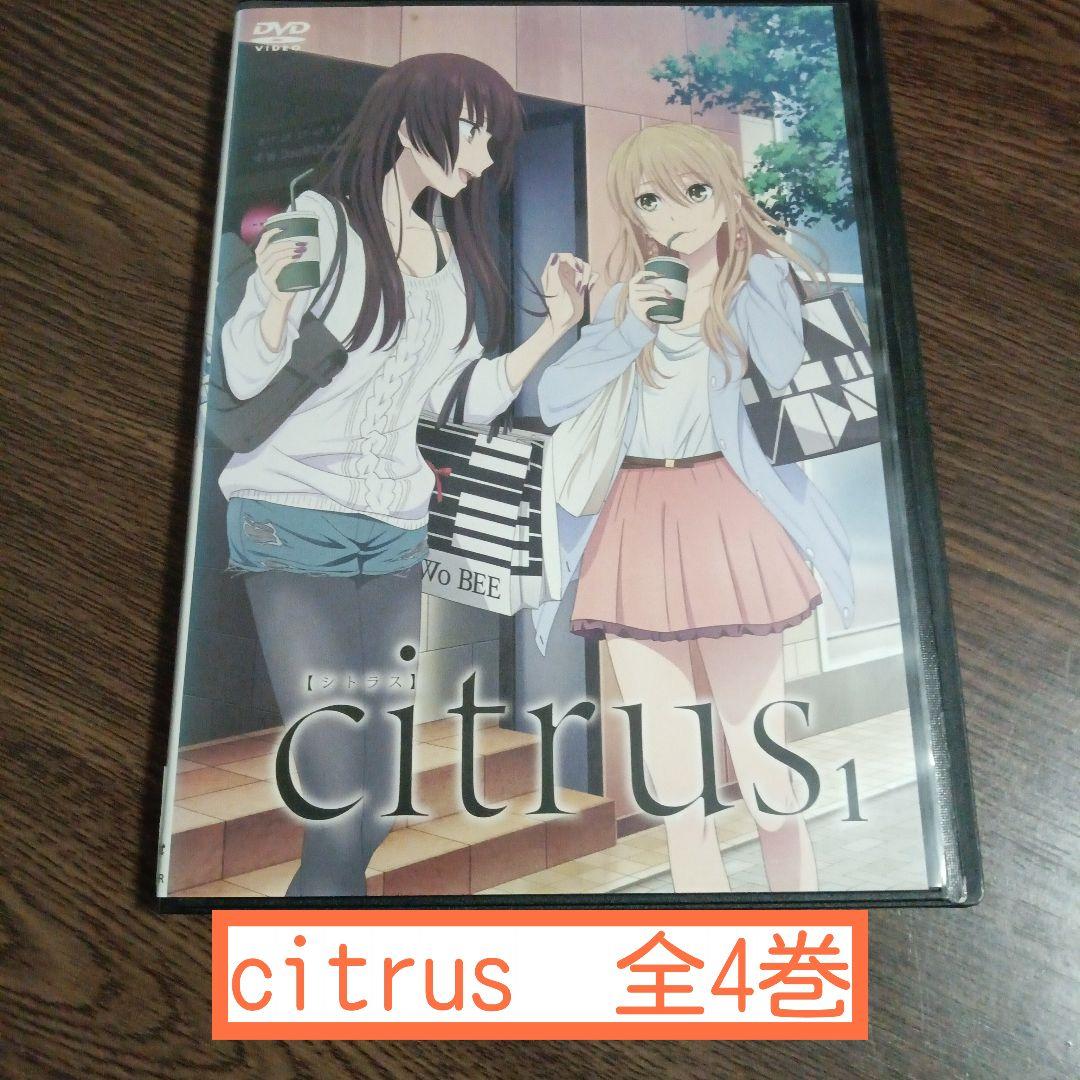 citrus　レンタル落ち　シトラス　DVD
