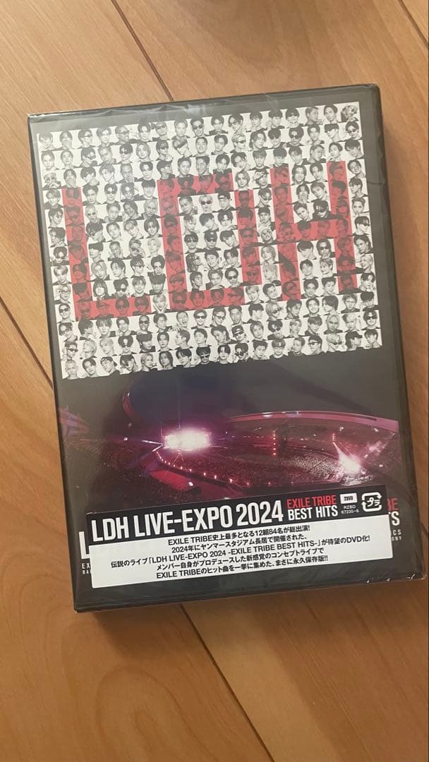 LDH LIVE EXPO 2024 BEST HITS DVD2枚 EXILE