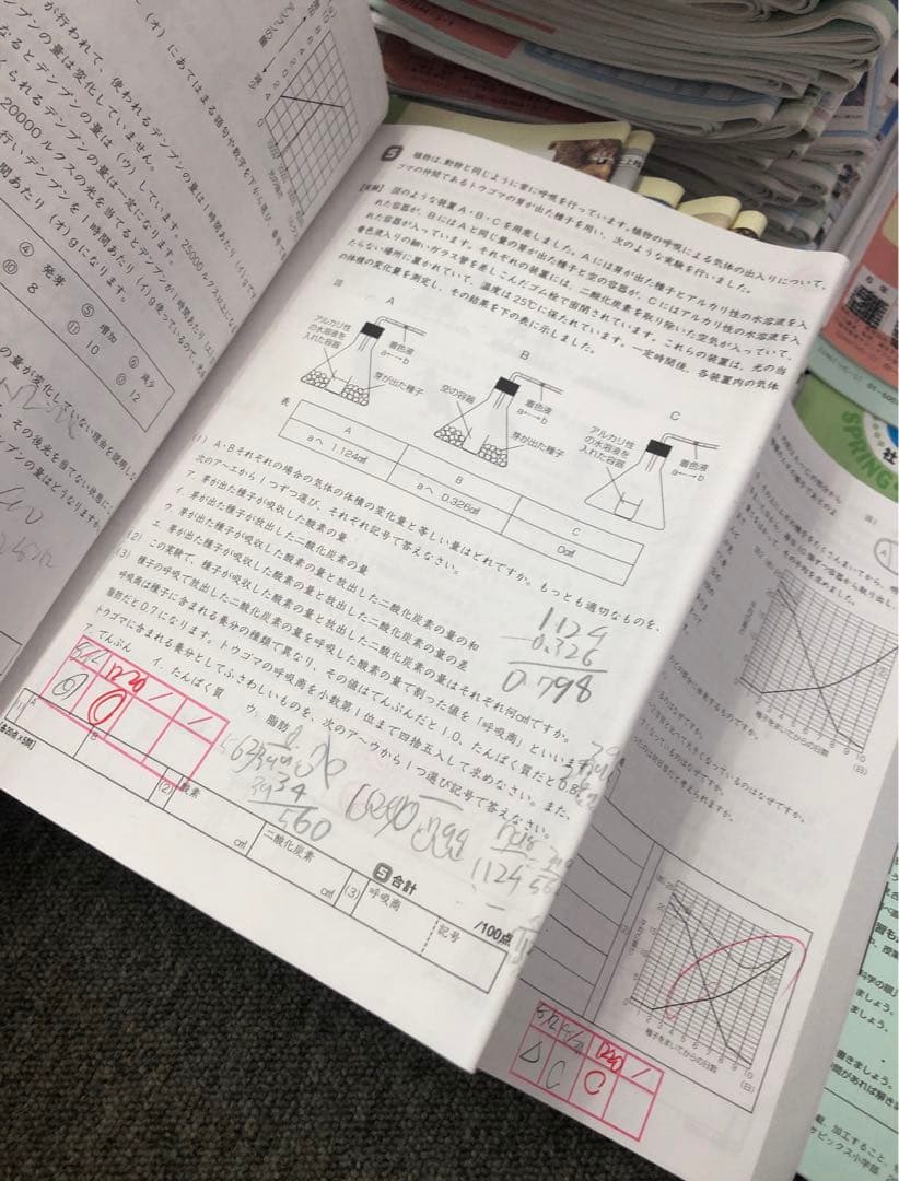 サピックス6年　理科/社会　デイリー/春期/夏期　テキスト　中古