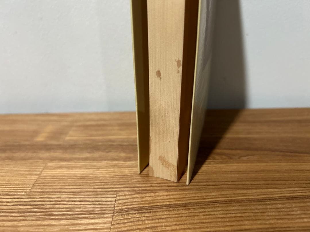 ソロモン王の苦悩 　エミール アジャール (著), 長島 良三 (翻訳)