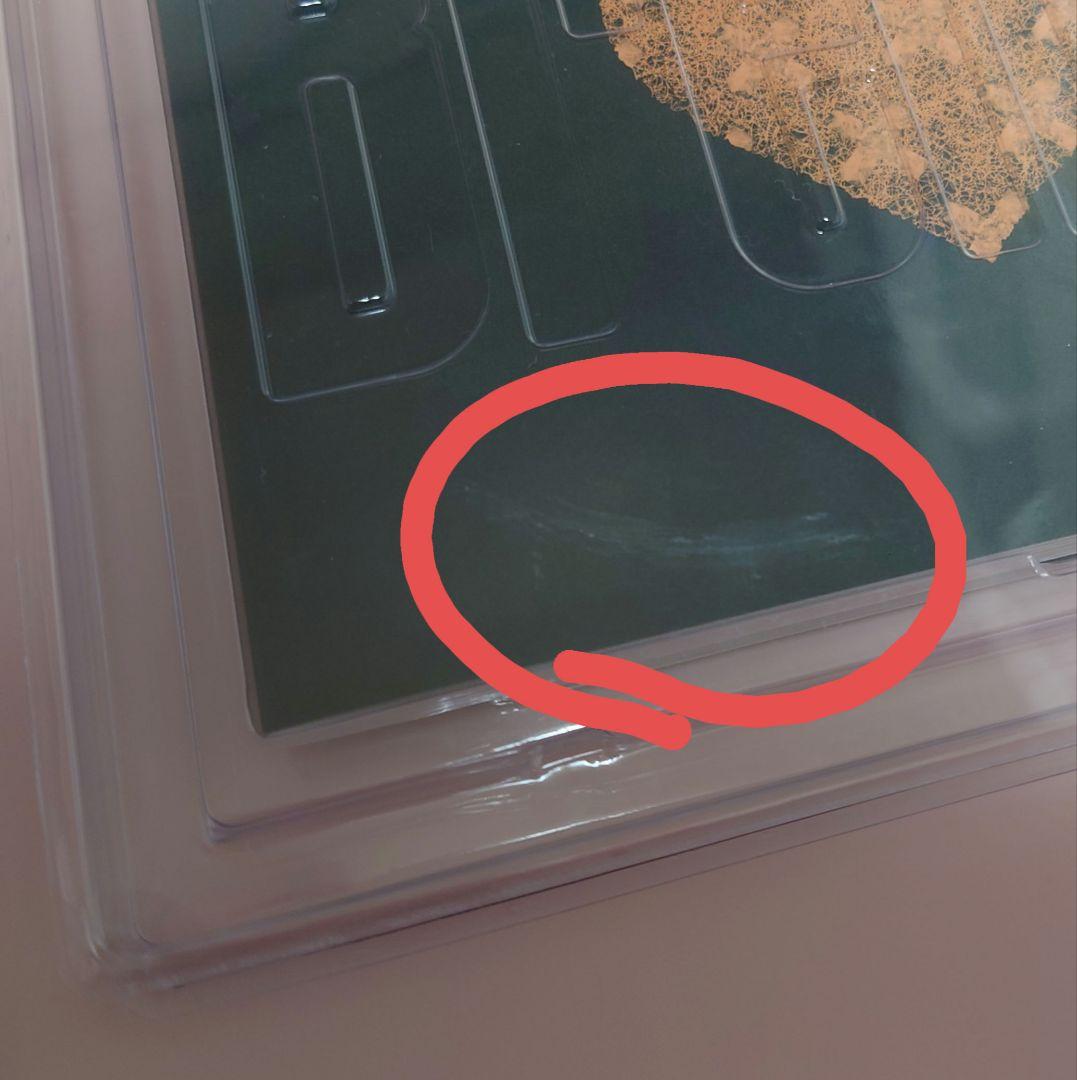 米津玄師 アルバム YANKEE Bremen 画集盤セット