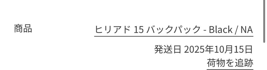 アークテリクス　ヒリアド15バックパック