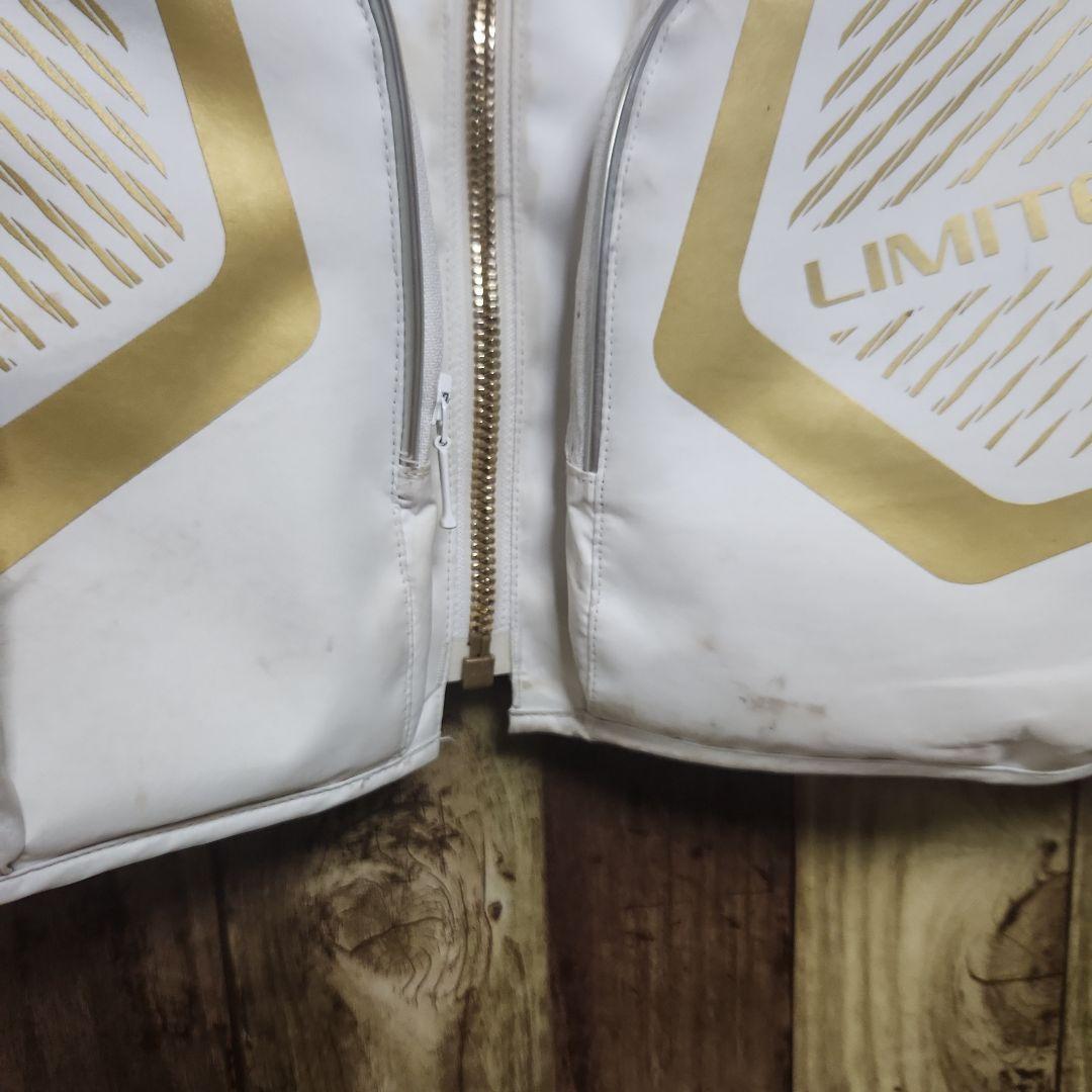 LIMITED PRO SHIMANO　ベスト