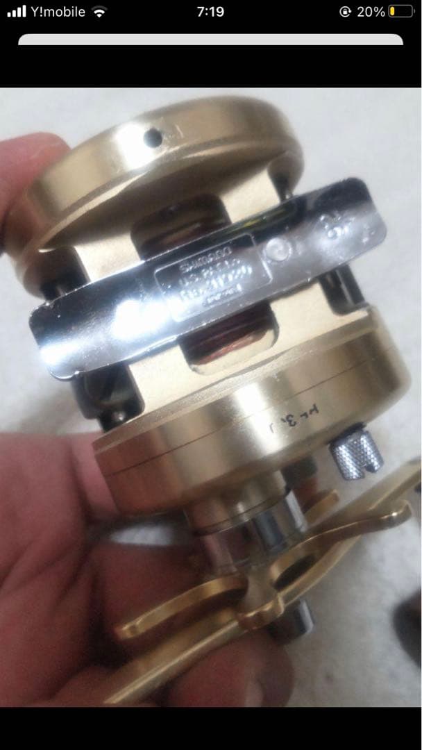 マリンゴールド