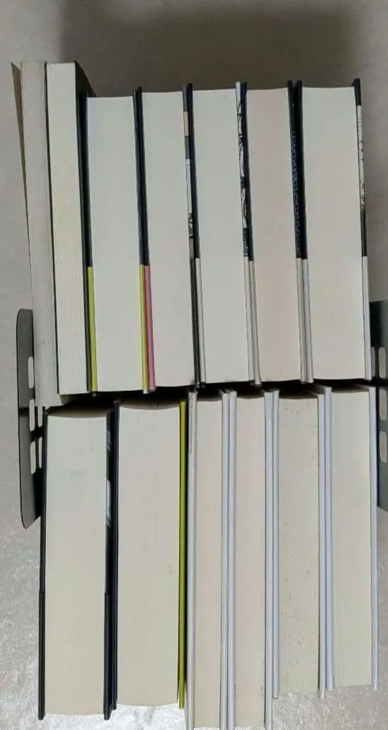 トマス・ピンチョン　V.　重力の虹　ヴァインランド　メイスン&ディクスン　逆光