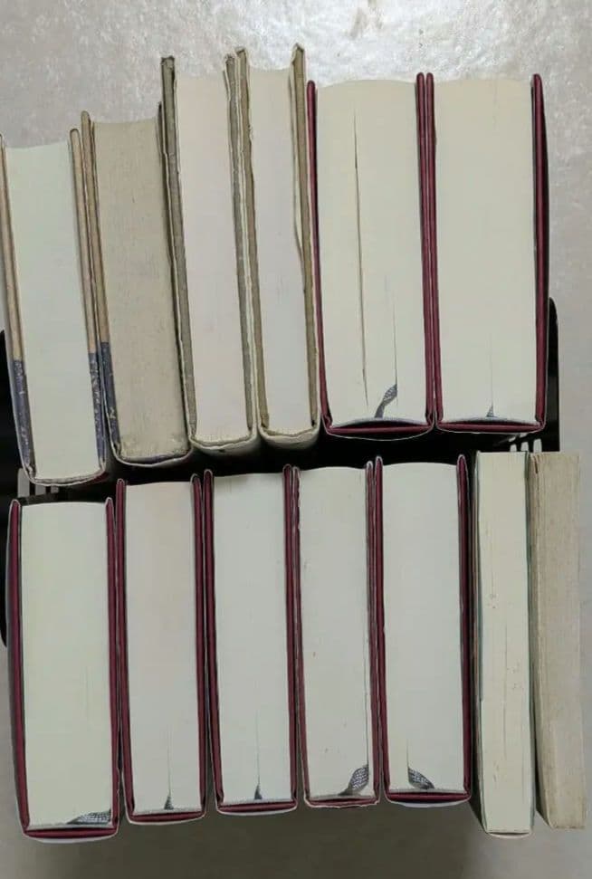 トマス・ピンチョン　V.　重力の虹　ヴァインランド　メイスン&ディクスン　逆光