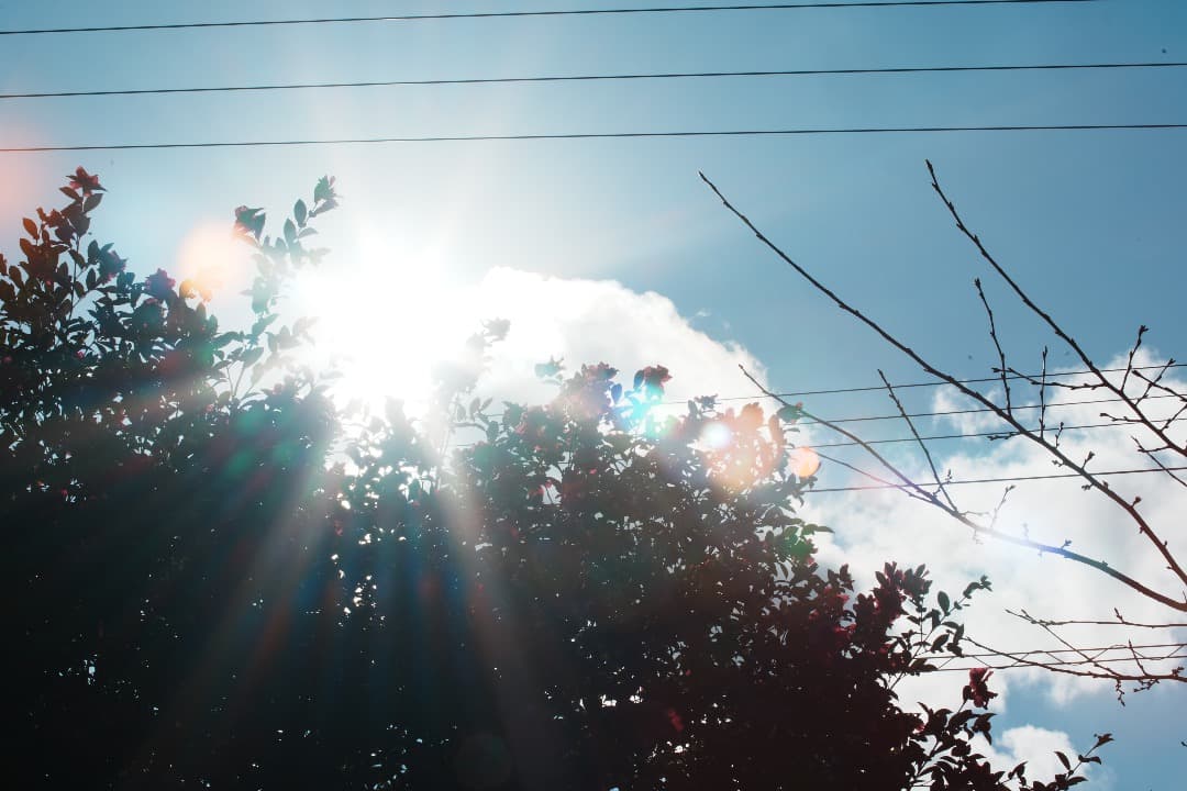 【整備＆テスト済】Canon EF 80-200mm F2.8 L 202