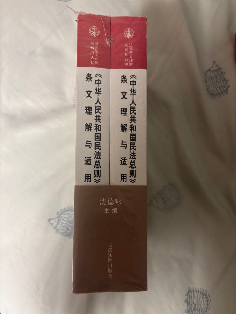 中華人民共和国民法総則 条文理解与適用