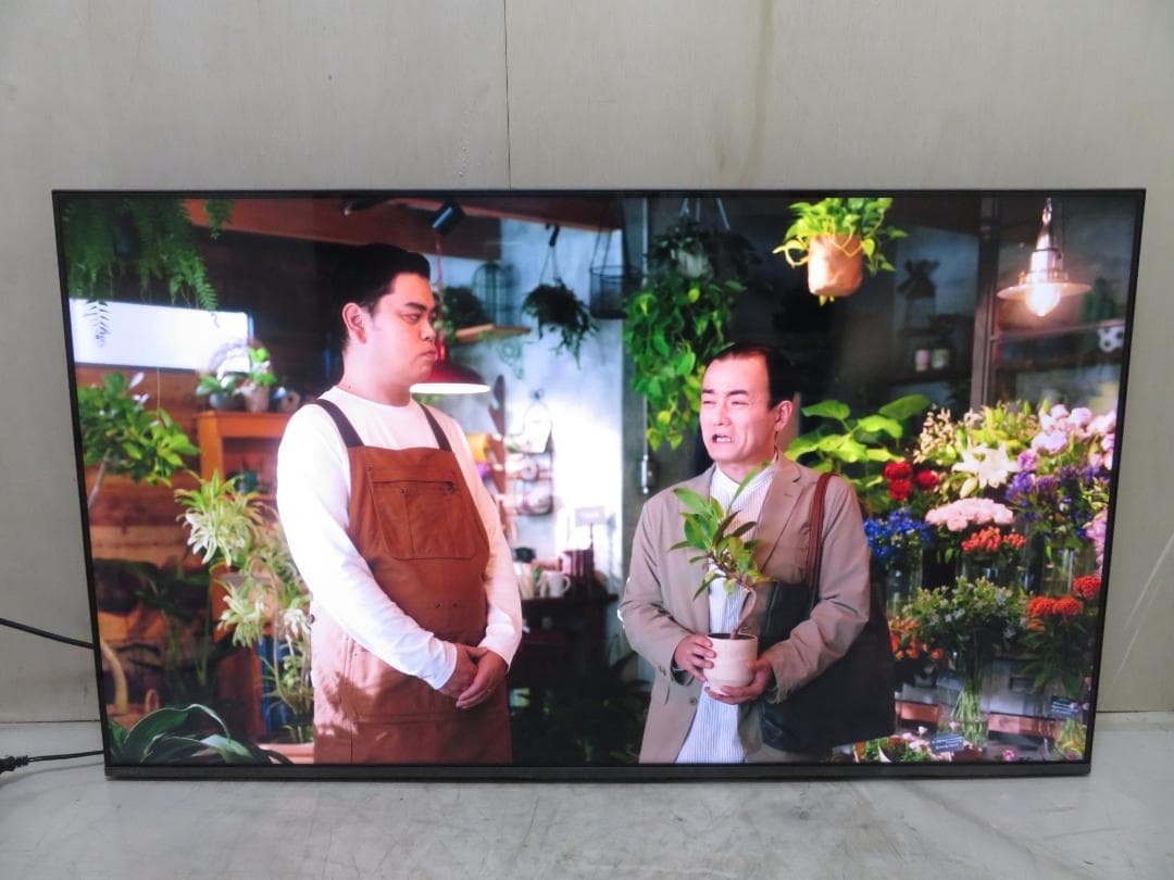 東芝 2024年製 REGZA 55インチ 4K 液晶テレビ 55M550M