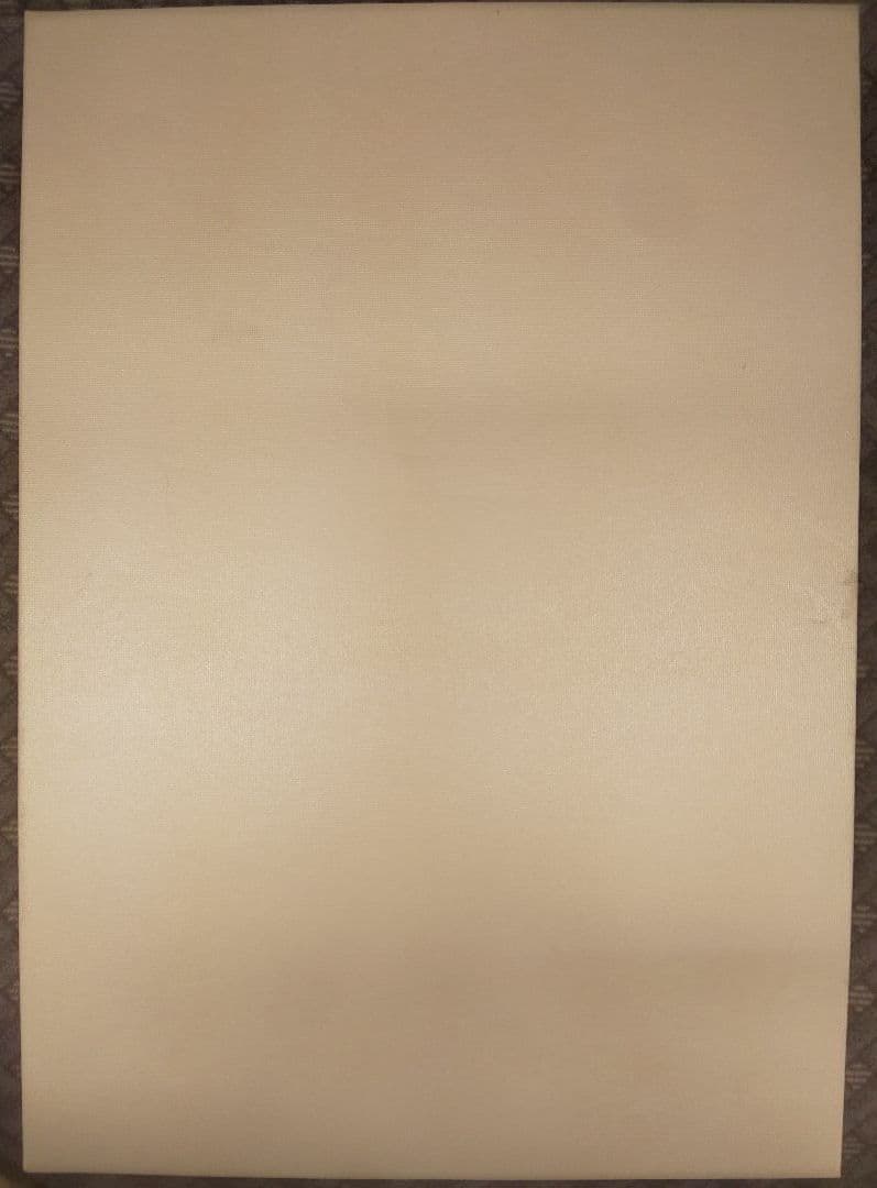 宝塚歌劇100年史 虹の橋渡りつづけて 非売品 家宝に！ 宝塚歌劇団 タカラヅカ