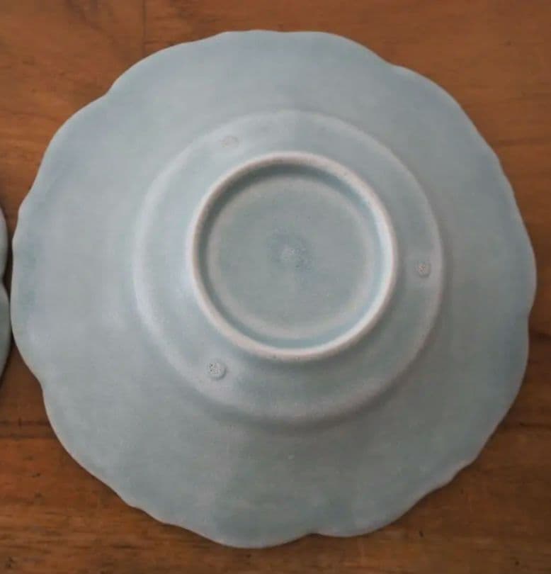 awabi ware アワビウェア 輪花皿S 青磁