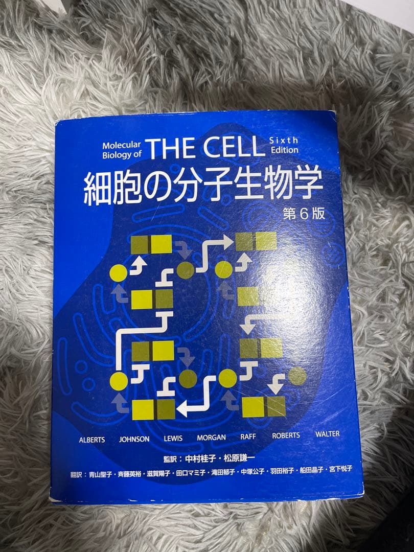 とても難しい本