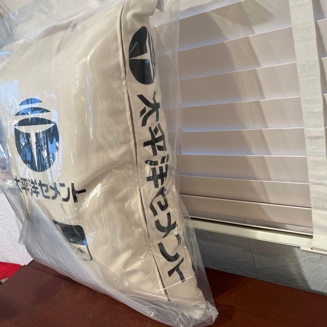 太平洋セメント 普通ポルトランドセメント 25kg クッション　白　ホワイト