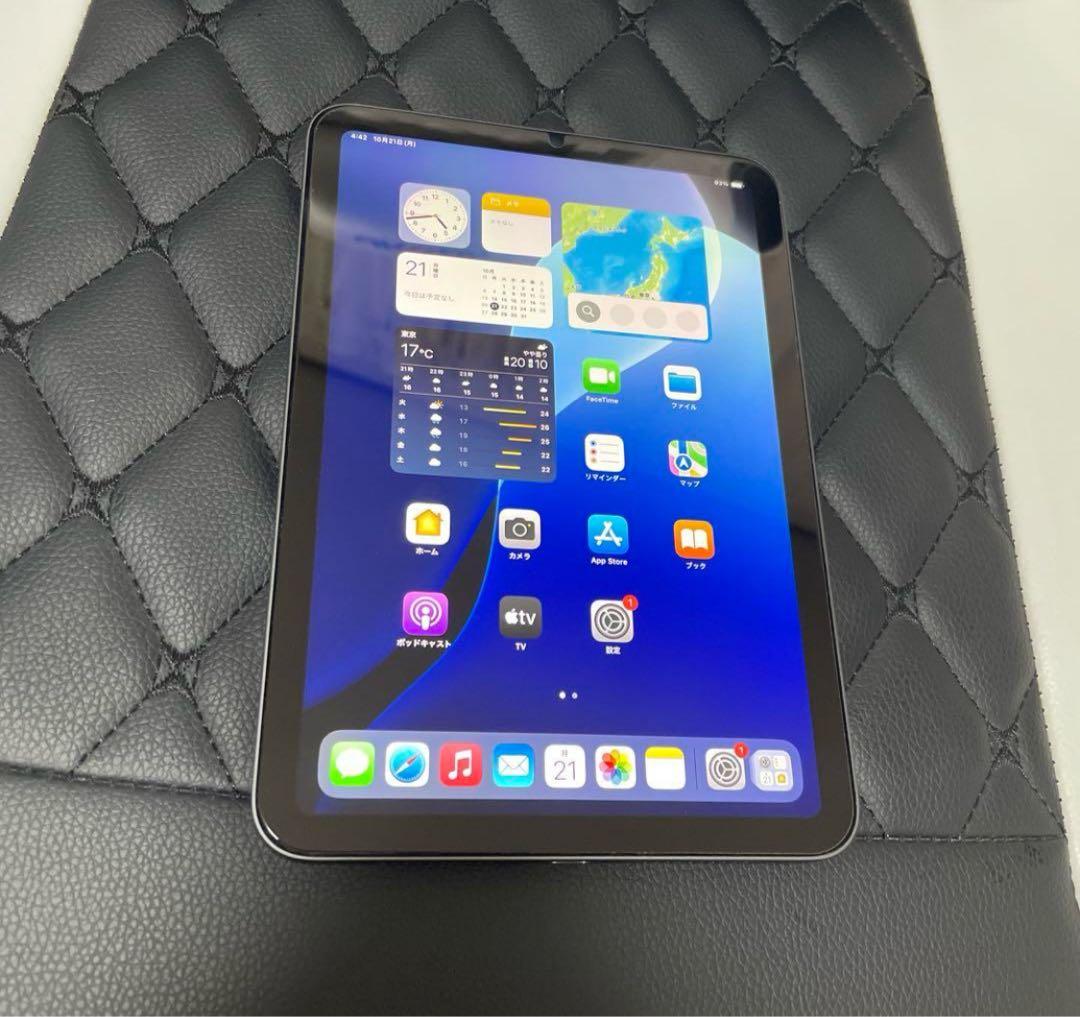 と*ん様 iPad mini (第6世代) 64GB スペースグレー 極美品