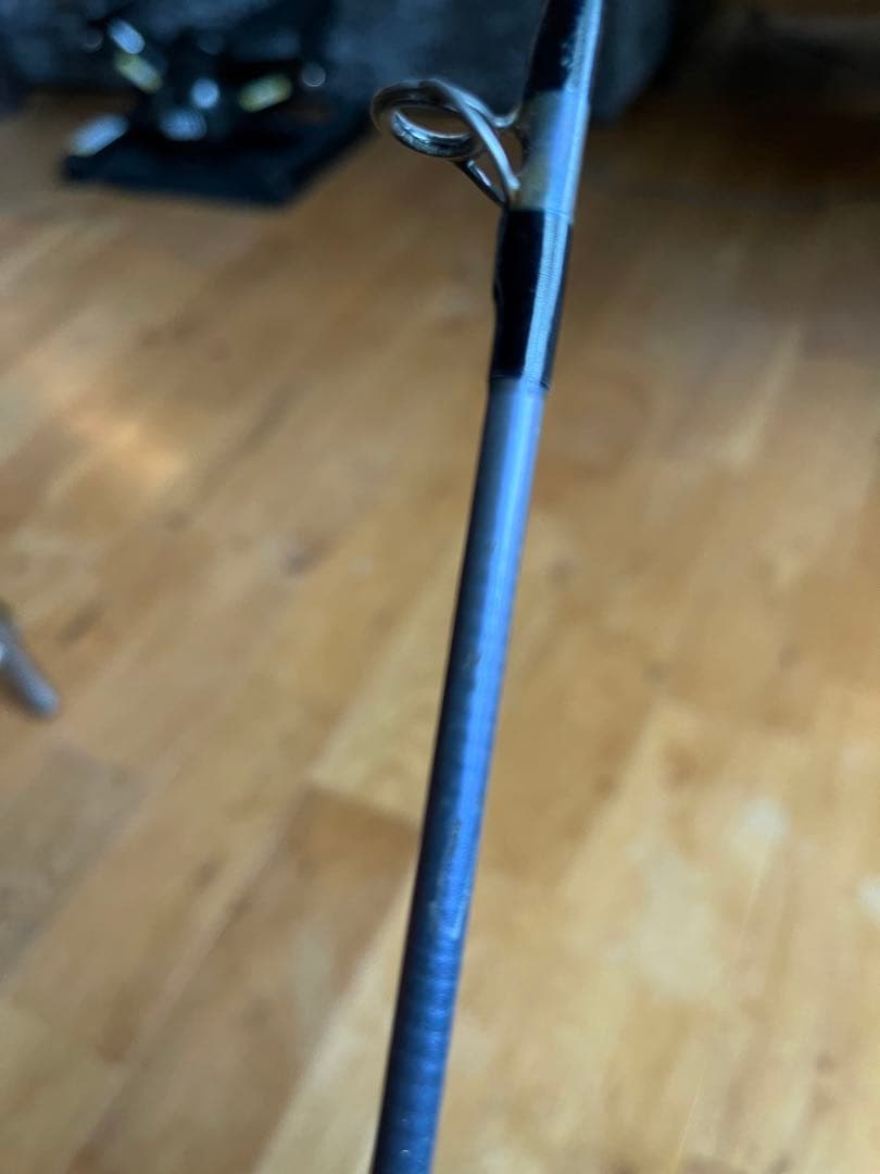 レスターファイン　パワフルカーネル