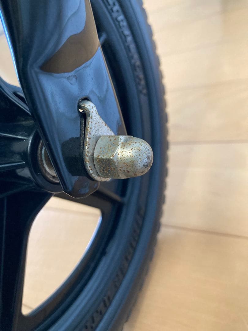 STRIDER 12インチ日本正規品　ブラック　プロテクター付き