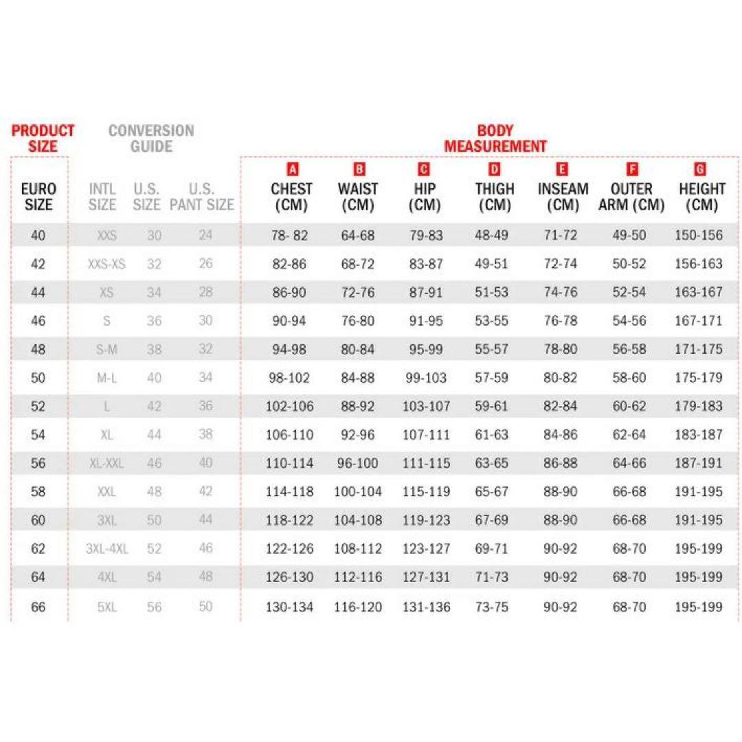 Alpinestars アルパインスターズ　レザーパンツ　50