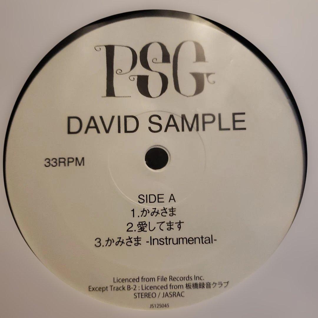 希少 美品 PSG DAVID SAMPLE PUNPEE 5lack