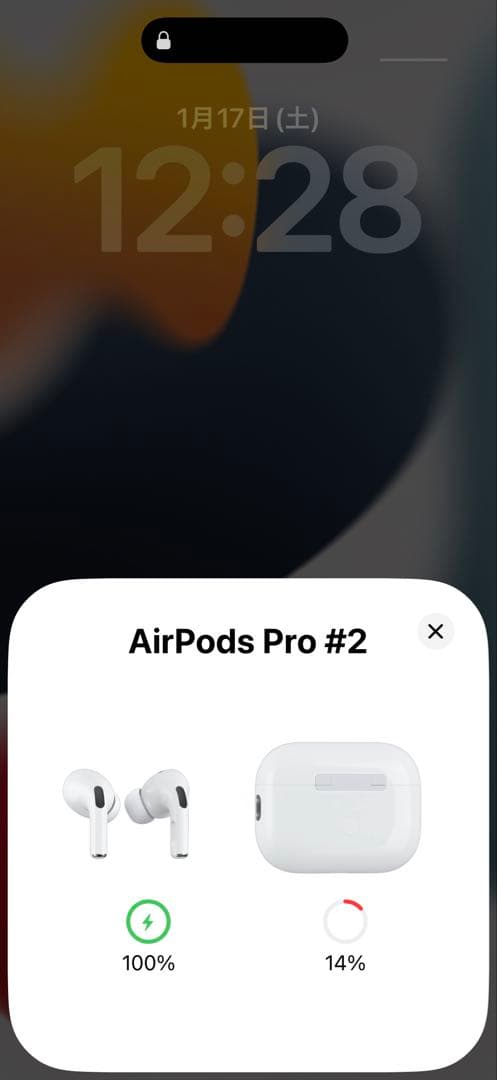 【正常動作確認済み】 AirPods Pro2両耳 充電ケース、充電ケーブル付き