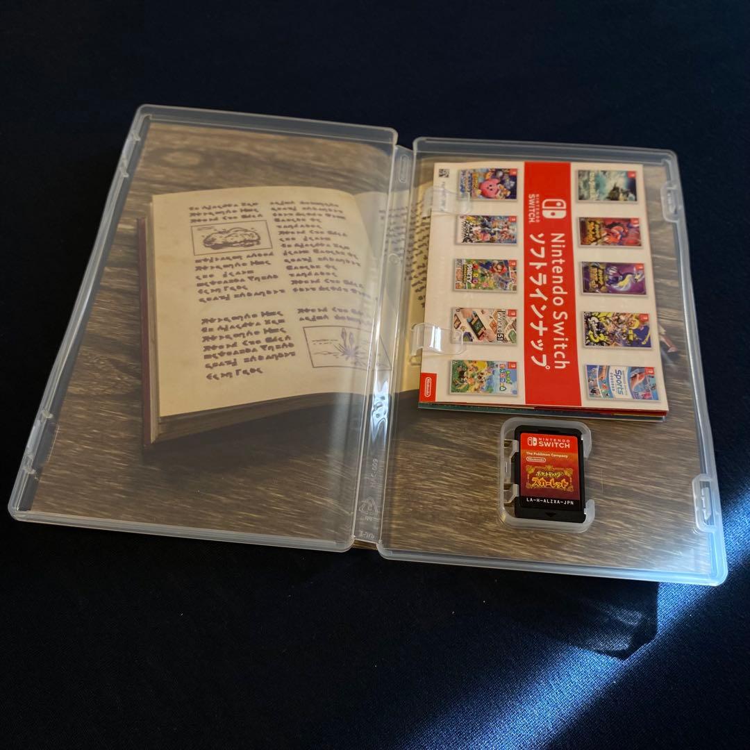 NintendoSwitchLight本体 ターコイズ (その他)