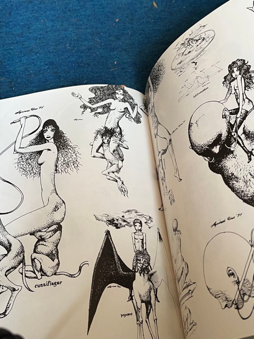 Aguirax 宇野亜喜良 イラスト集