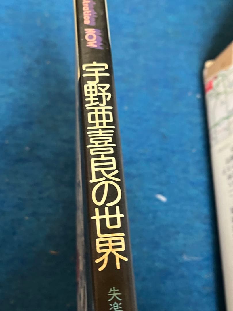 Aguirax 宇野亜喜良 イラスト集