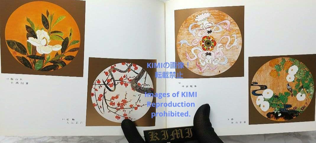 昭和の天井絵 当1976 麻寺 中之坊 松村実秀 本 当麻寺中之坊客殿 Art