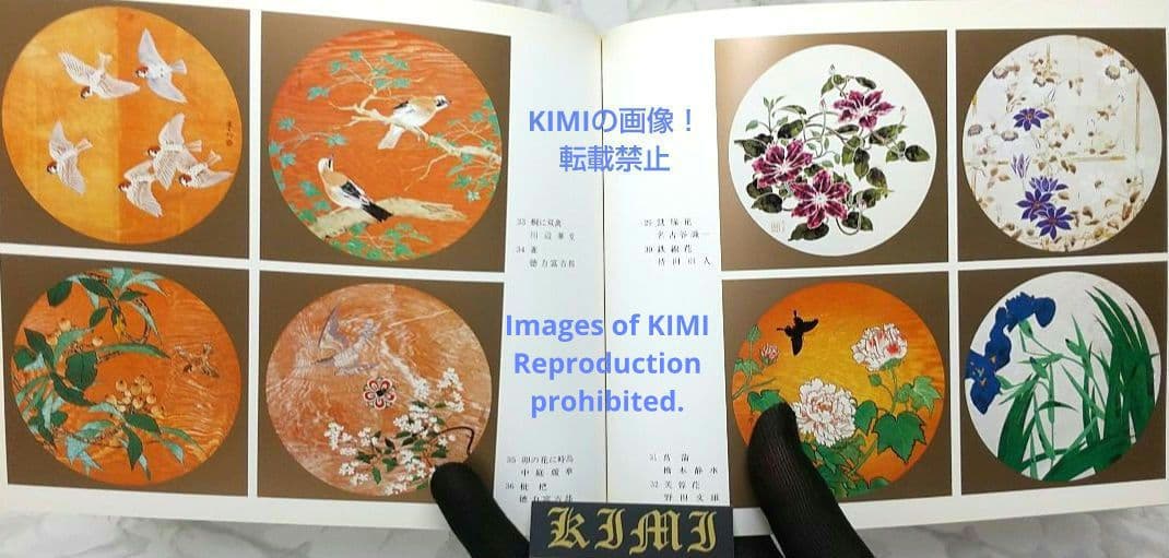 昭和の天井絵 当1976 麻寺 中之坊 松村実秀 本 当麻寺中之坊客殿 Art