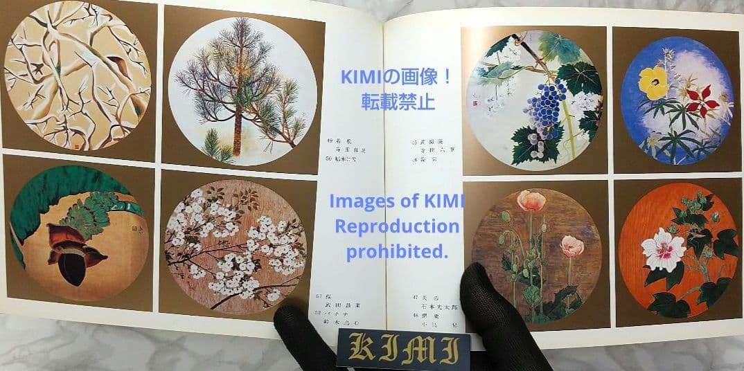 昭和の天井絵 当1976 麻寺 中之坊 松村実秀 本 当麻寺中之坊客殿 Art