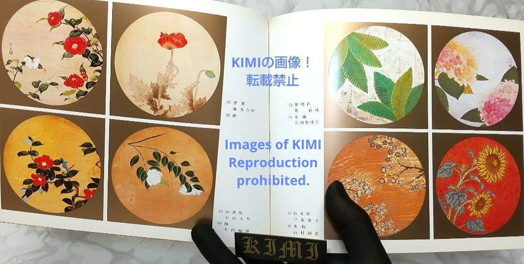 昭和の天井絵 当1976 麻寺 中之坊 松村実秀 本 当麻寺中之坊客殿 Art