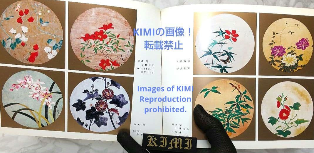 昭和の天井絵 当1976 麻寺 中之坊 松村実秀 本 当麻寺中之坊客殿 Art