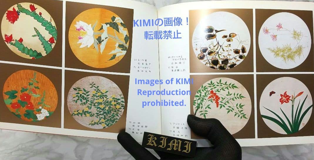 昭和の天井絵 当1976 麻寺 中之坊 松村実秀 本 当麻寺中之坊客殿 Art