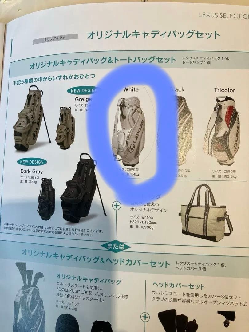 エフスポーツ　キャディバッグ