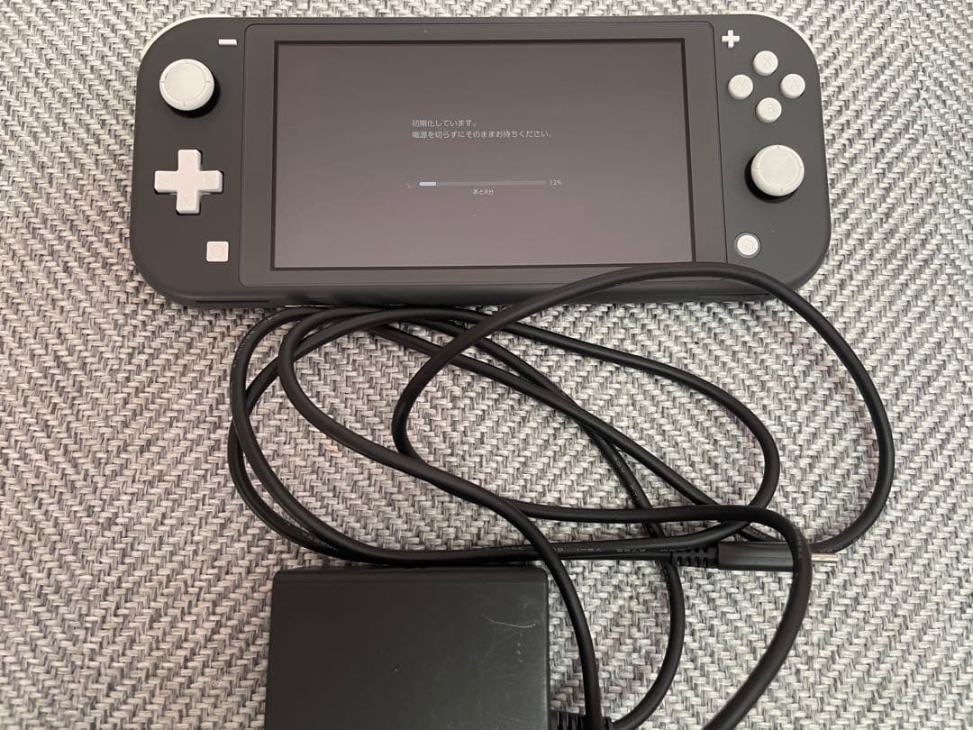 Nintendo Switch Lite グレー 本体 充電器付き