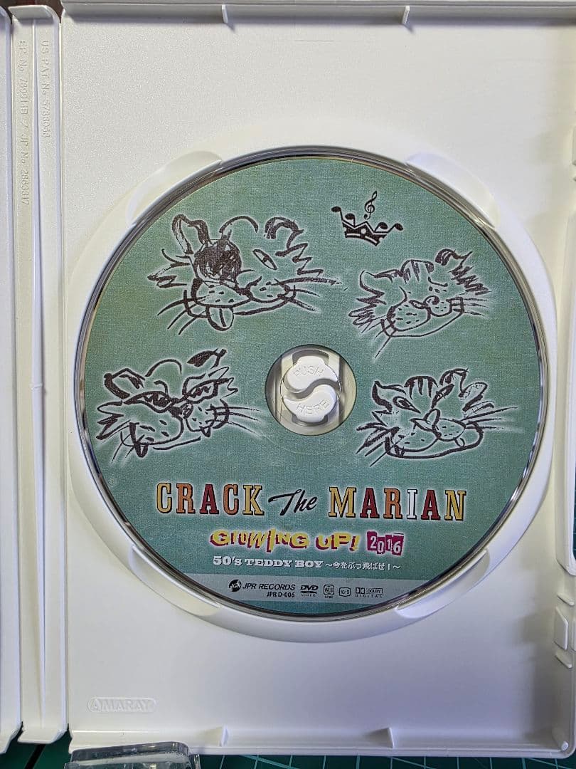 GROWING UP! 2016 50's TEDDY BOY ~今をぶっ飛ばせ