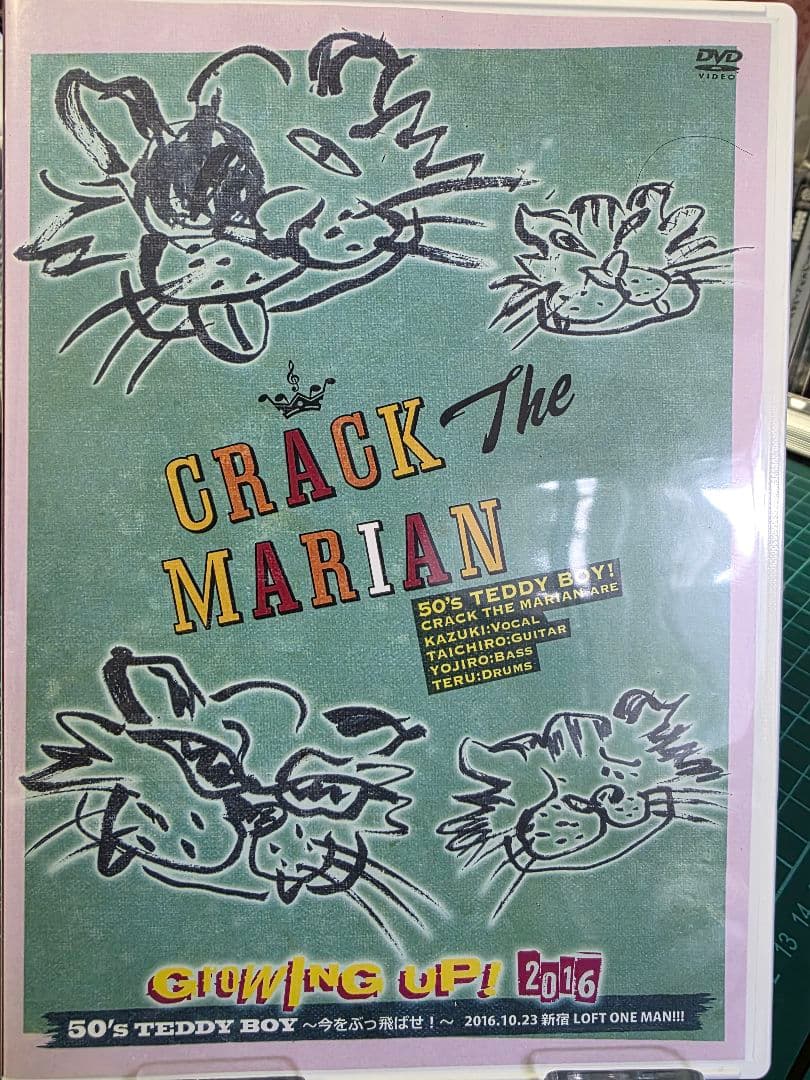 GROWING UP! 2016 50's TEDDY BOY ~今をぶっ飛ばせ