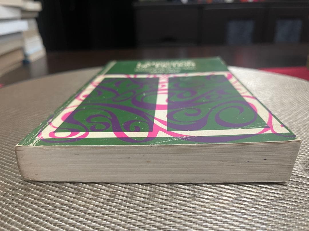 希少　Language of Fiction David Lodge 洋書