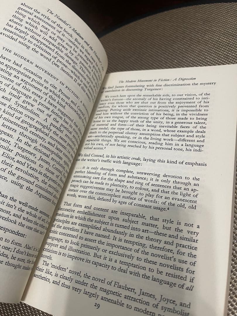 希少　Language of Fiction David Lodge 洋書