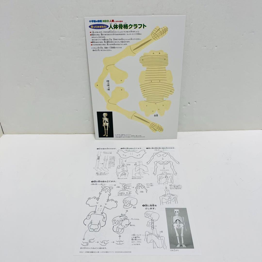 小学館の図鑑NEO17巻、NEOプラス3巻 ２０冊 まとめ セット
