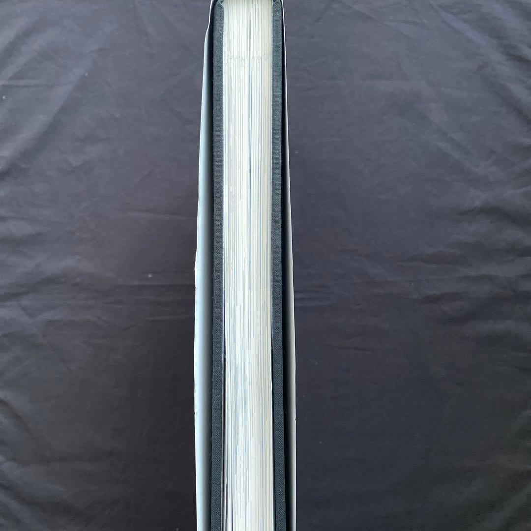 洋書 MASTERS OF THE MILLENNIUM