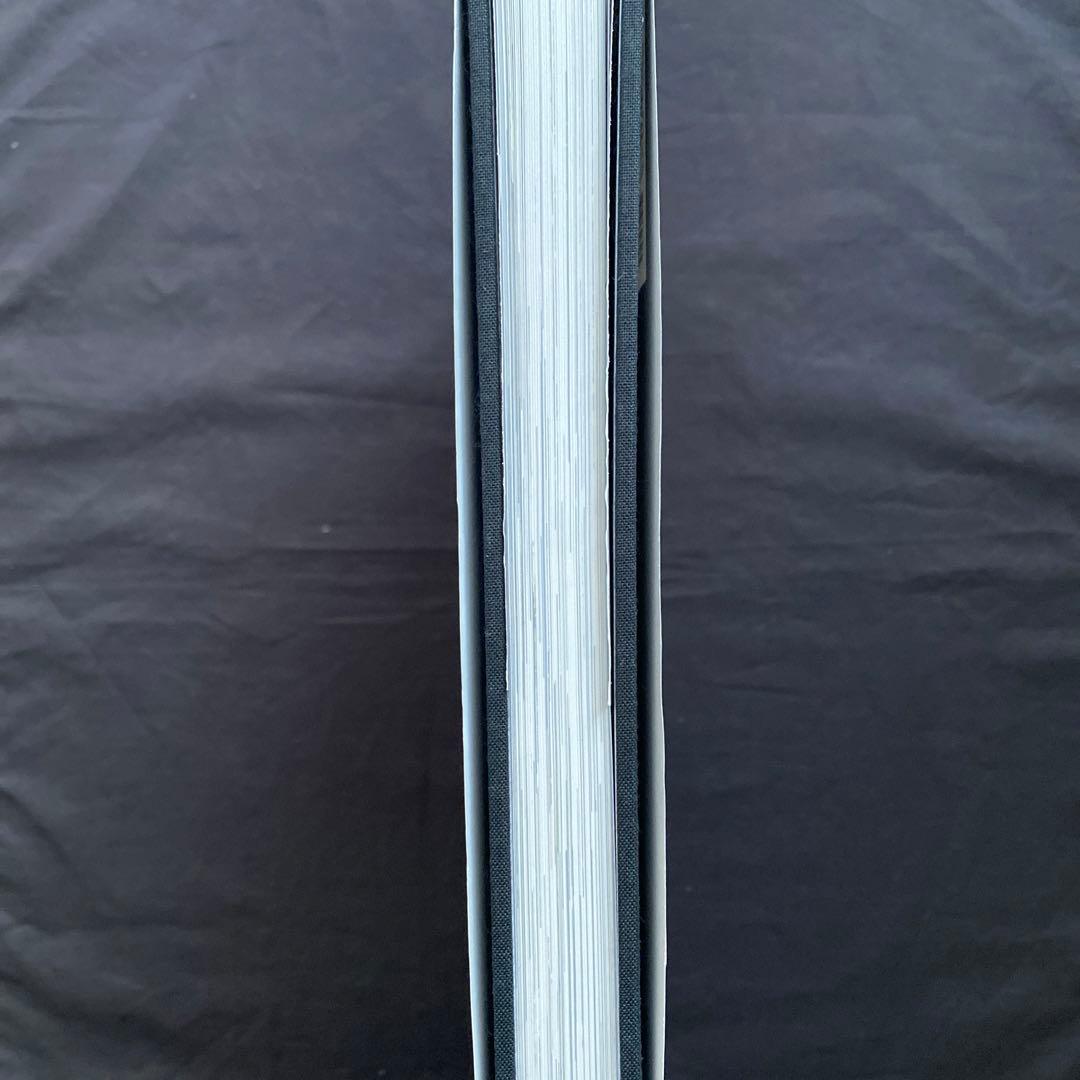 洋書 MASTERS OF THE MILLENNIUM