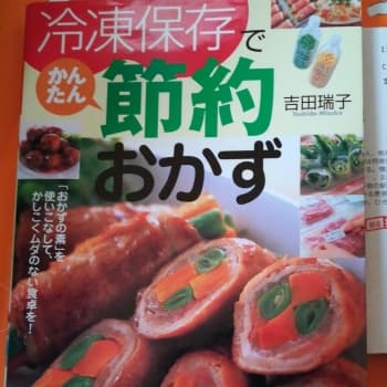 冷凍保存でかんたん節約おかず/吉田 瑞子