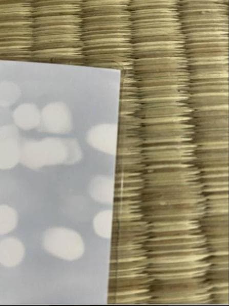 レスリン様　河合奈保子10枚セット　特大A４　ラミネート加工　爆乳