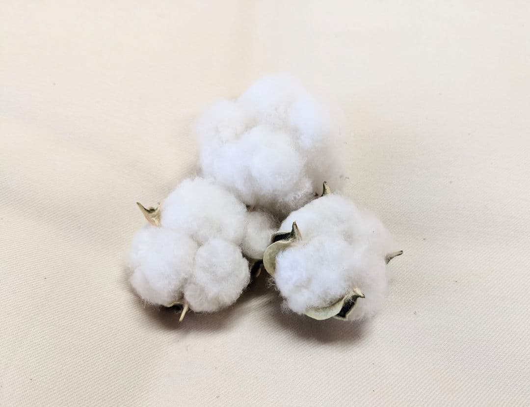 手作りコットンS敷ふとん2枚組(シングル2枚)内閣総理大臣賞受賞