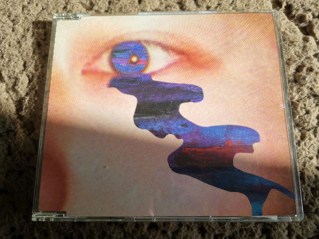 ザ・バック・ホーン/「サニー」