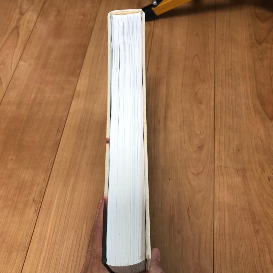 写真集　wolfgang tillmans abstract pictures