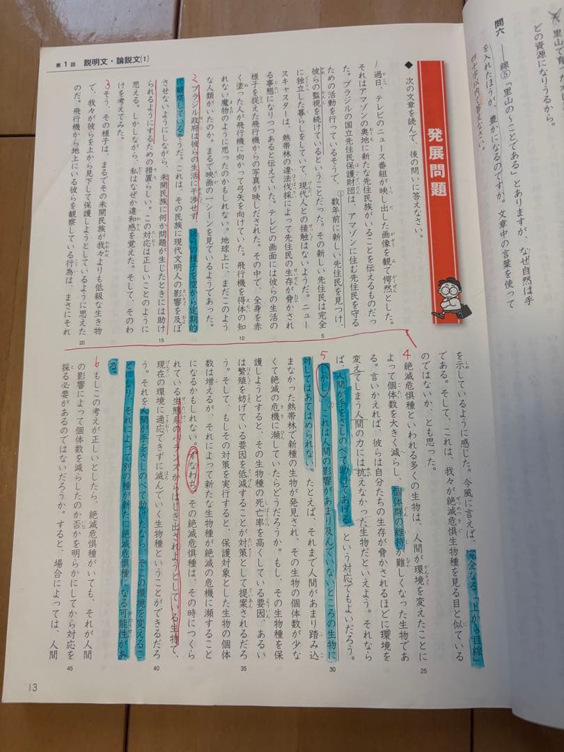 【難関校受験対策】小6 四谷大塚 予習シリーズ 早稲アカ4教科セット