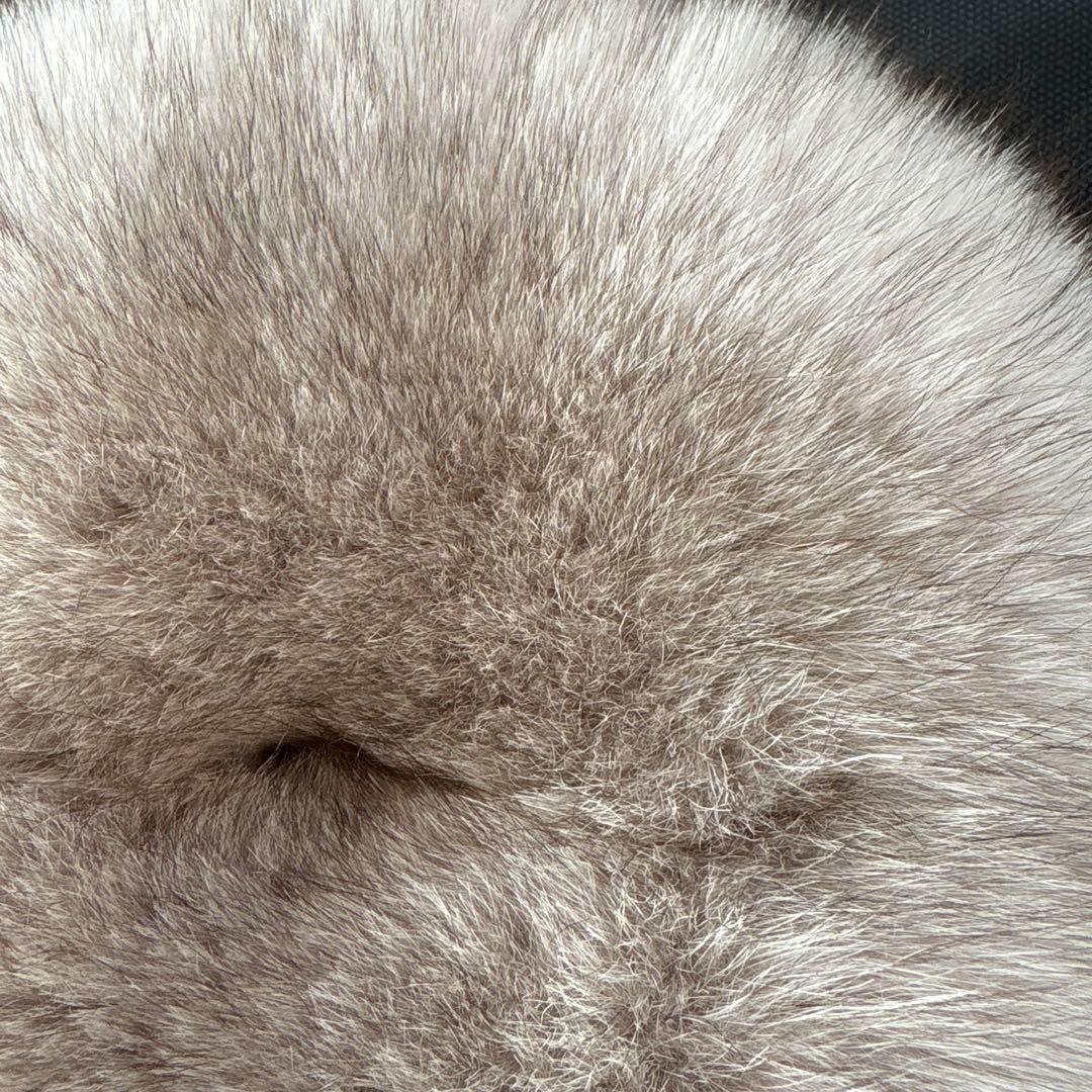 MANIMARIS (マニマリス) キノコファー